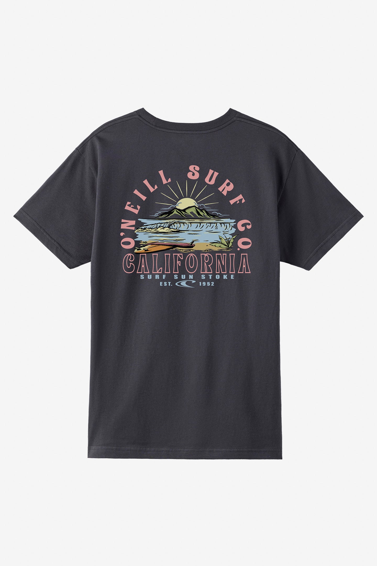 Surf. Sun. Stoke Standard Fit Tee - O'Neill Clothing